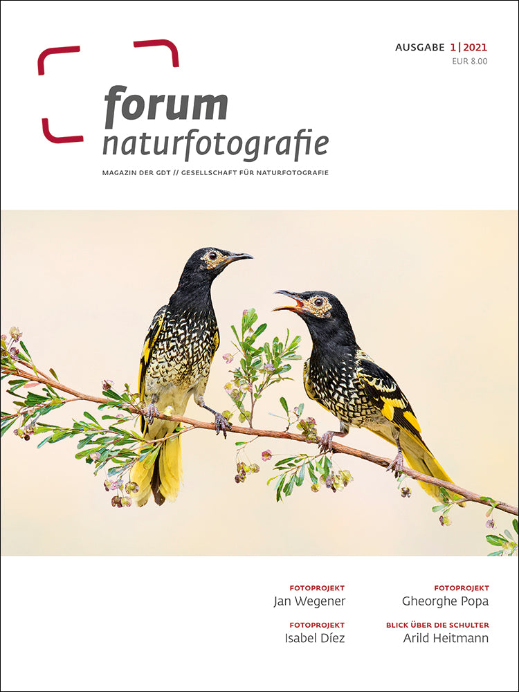 forum naturfotografie 1/2021